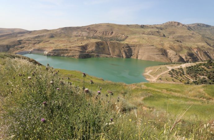 سلطة وادي الأردن – تخزين السدود 79,8 مليون م3 بنسبة 28,5%