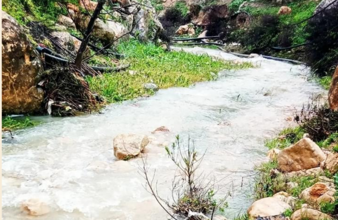 وادي الطواحين في عجلون وجهة سياحية للباحثين عن سحر الطبيعة