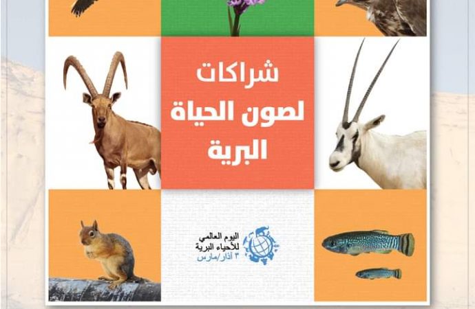 الأردن يحتفل مع العالم باليوم العالمي للأحياء البرية