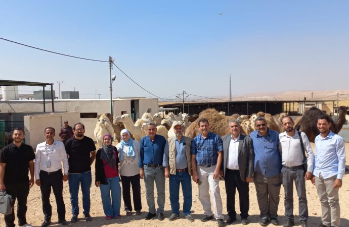 حداد –  بحوث تربية الإبل ضرورة في ظل التغيرات المناخية