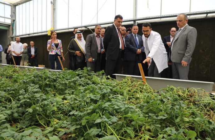 الحنيفات يفتتح محطة لإنتاج تقاوي البطاطا في البحوث الزراعية