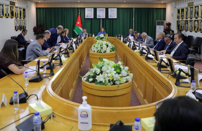 مالية الأعيان تُقر “مشروعات الشراكة بين القطاعين العام والخاص”