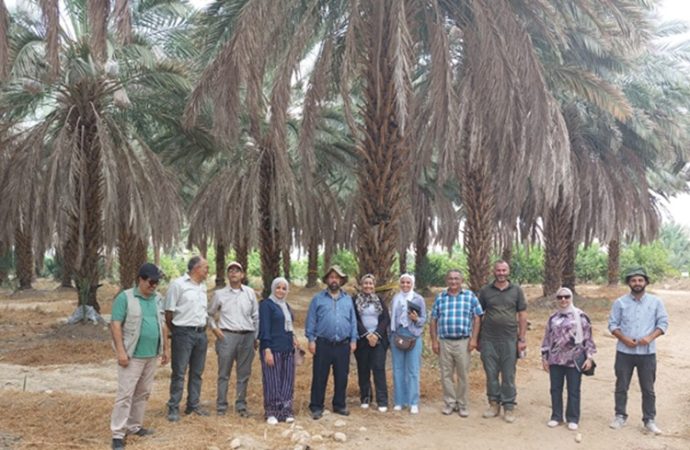 تعاون بين البحوث الزراعية وجامعة اليرموك وجامعة توينتي