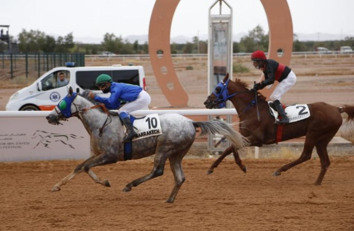 كأسا زايد والشيخة فاطمة للخيول في ضيافة مراكش المغربية