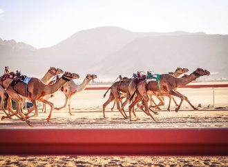 تواصل منافسات مهرجان الأردن الرابع لسباقات الهجن والشعر النبطي
