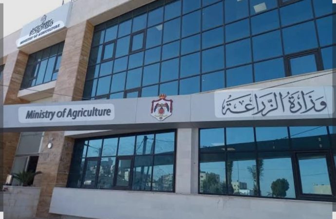وزارة الزراعه تبدأ اليوم بتنفيذ مشروع الترقيم للحيازات الحيوانيه