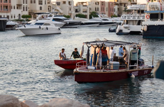 الأمير فيصل يشهد انطلاق البطولة العربية لصيد السمك في العقبة