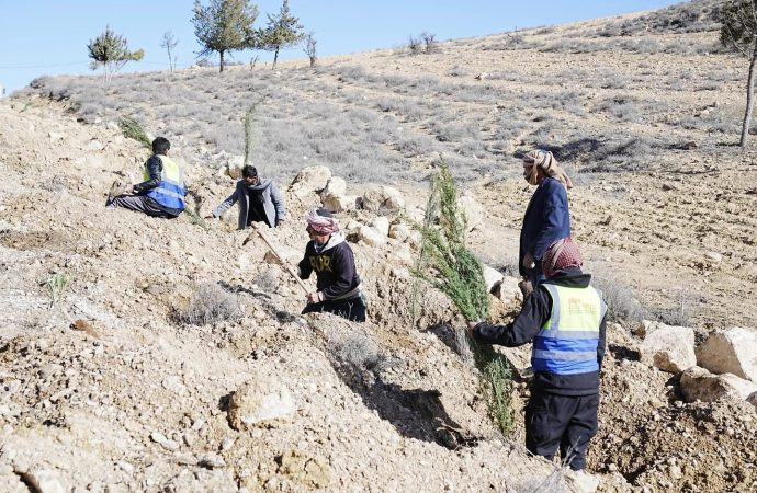 بدء تنفيذ مشروع “الحزام الأخضر وتجميل جوانب الطرق” في منطقة الهيشة