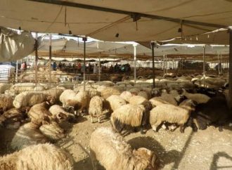 بلدية السلط الكبرى تحدد مواقع بيع الأضاحي