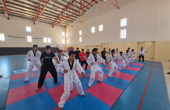 تواصل فعاليات حزمة البرامج التدريبية في المراكز الشبابية التابعة لمديرية شباب البترا